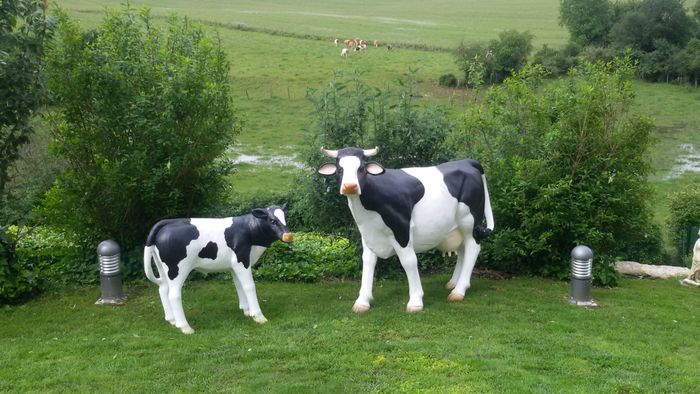 vache fribourgeoise en résine et fibres de verre grandeur nature 
peinture acrylique anti UV 